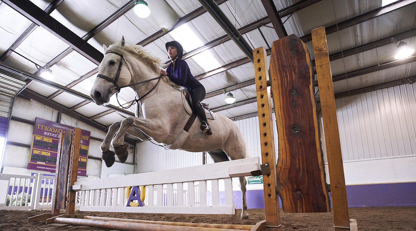 Equestrian Studies Landing